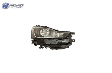 LX2503170C automotive part